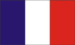 Como tirar o visto para Guiana Francesa