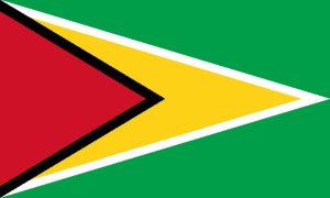 Como tirar o visto para Guiana