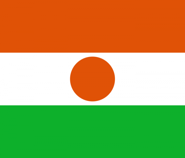 Como tirar o visto para Niger