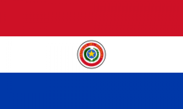Como tirar o visto para Paraguai