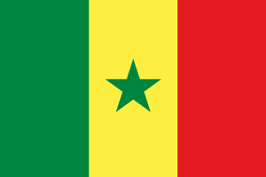 Como tirar o visto para Senegal