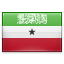Bandeira Bandeira