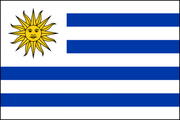Como tirar o visto para Uruguai