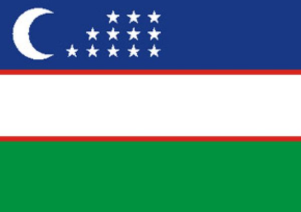 Como tirar o visto para Uzbequist�o